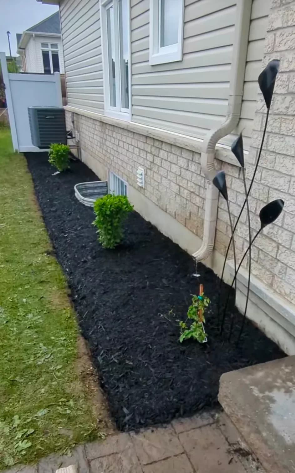 Freshly installed deep black mulch bed with neat edges and foundation plantings along home brickwork