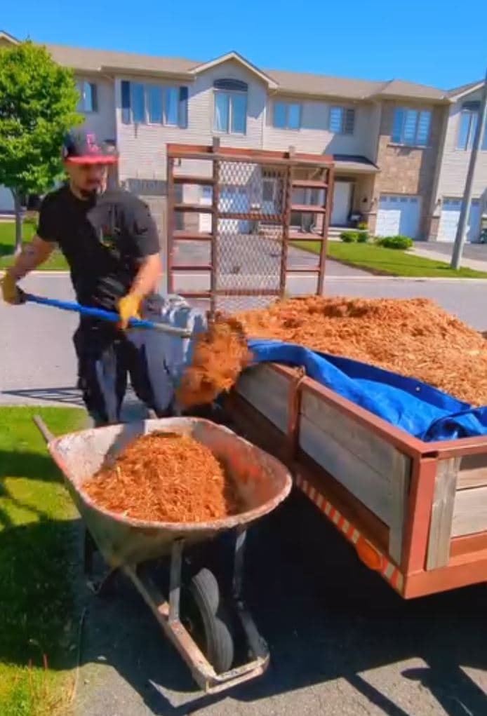 Crew member shovelling bulk mulch from the company trailer into a wheelbarrow on a residential street
