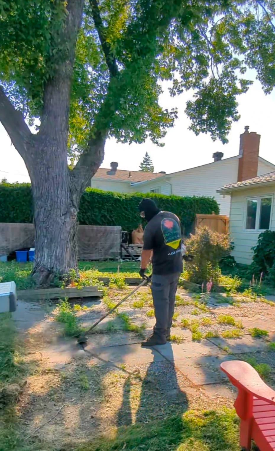 Crew member string trimming and clearing overgrown weeds from a stone patio
