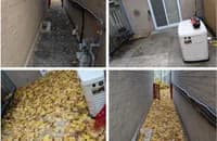 Fall yard and autumn garden cleanup by Adel's Yard Services in Ottawa, ON