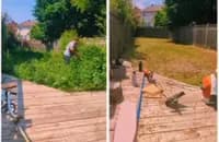 Overgrown Yard & Debris Clearing