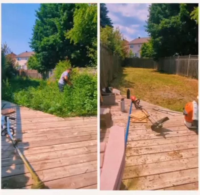 Before and after: a heavily overgrown backyard cut back and cleared to a clean, level lawn