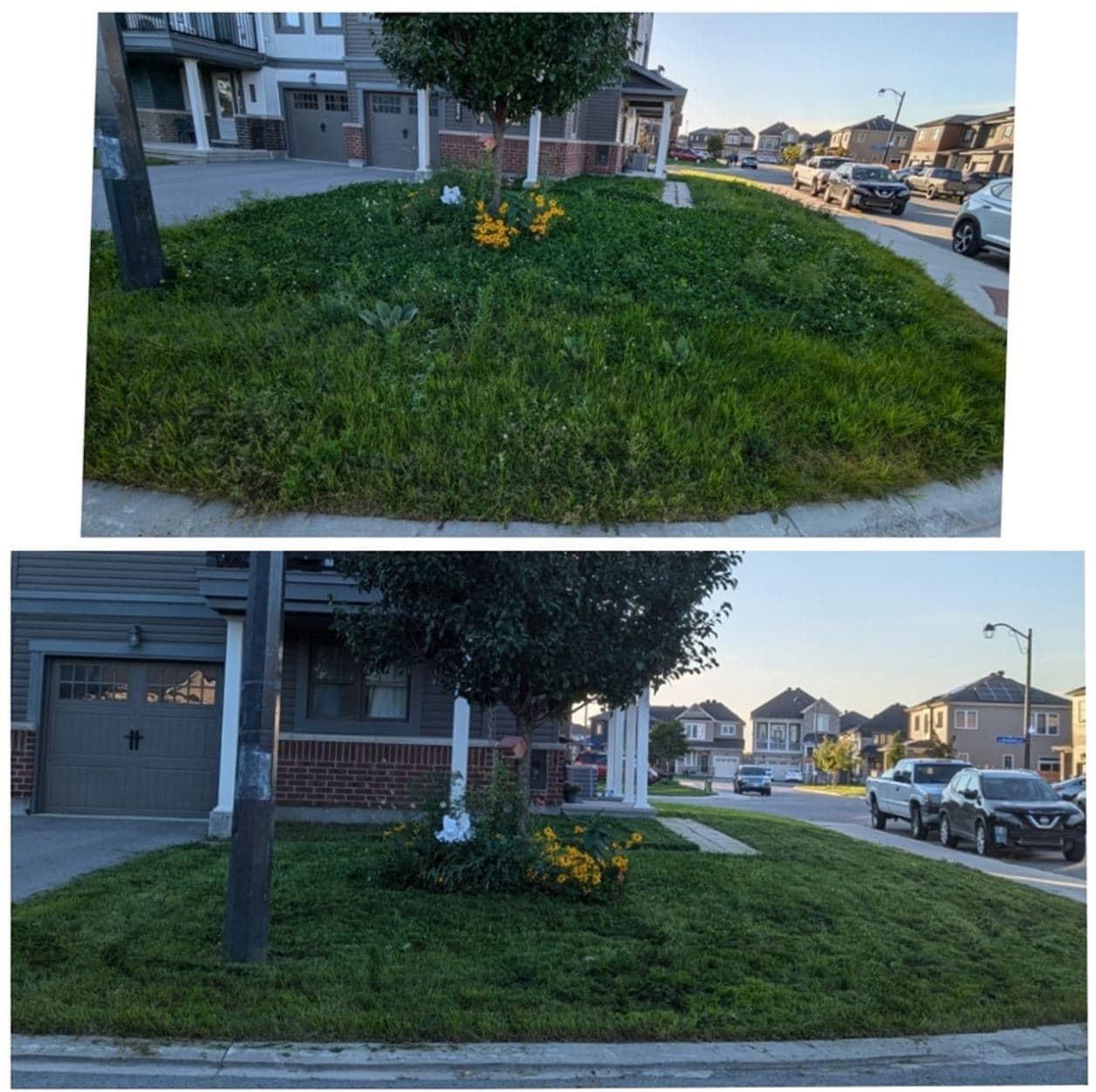 Lawn Mowing work by Adel's Yard Services
