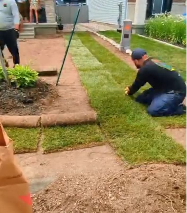 Crew member kneeling to lay fresh sod strips alongside a front walkway
